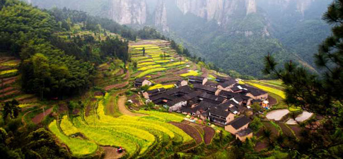 藝農(nóng)生活高端農(nóng)莊規(guī)劃