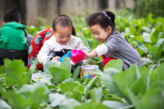 休閑農(nóng)業(yè)親子教育產(chǎn)品體系之認(rèn)知農(nóng)園