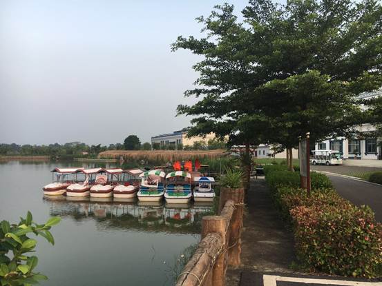 好想你 那文化——全國五星級休閑農(nóng)業(yè)與鄉(xiāng)村旅游園區(qū)評審調(diào)研報(bào)告