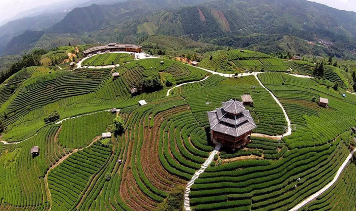 搞休閑農(nóng)業(yè)與鄉(xiāng)村旅游規(guī)劃，可以申報(bào)這些稱號(hào)