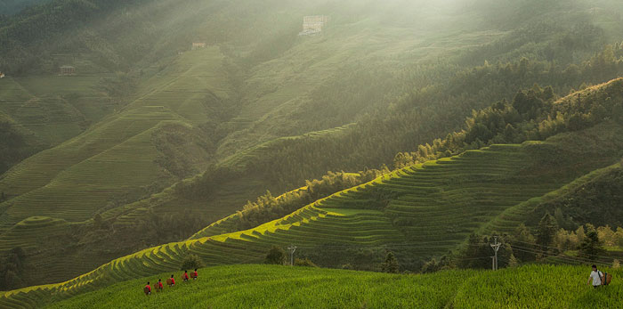 搞休閑農(nóng)業(yè)與鄉(xiāng)村旅游規(guī)劃，可以申報(bào)這些稱號(hào)