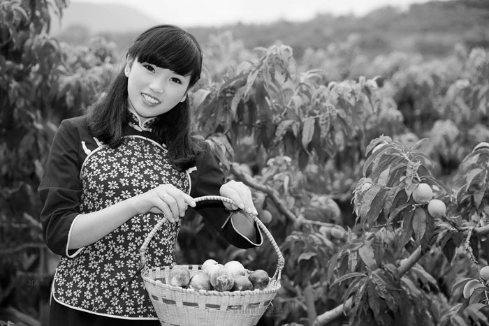 鄉(xiāng)村旅游活動(dòng)項(xiàng)目